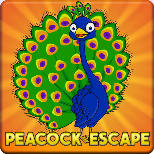 Forest-Park-Peacock-Escape